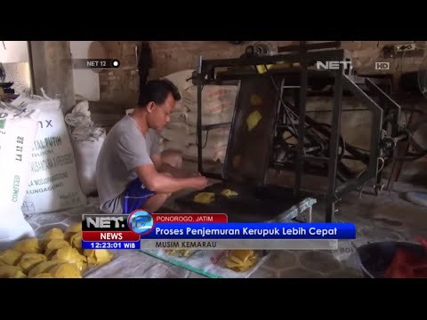 Produksi perajin kerupuk bawang di Ponorogo meningkat di Musim Kemarau - NET12