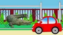 En Boda máquina paseos explorar el zoológico de animales salvajes dibujos animados sobre los coches