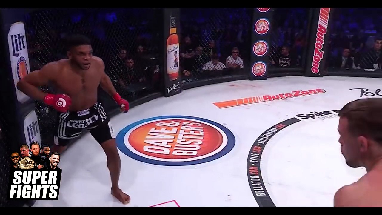 Best UFC MMA KOs Of 2017 (So far)