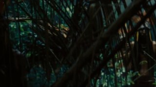 The Lost City of Z Official Trailer - Teaser (2