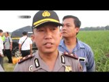 Kecelakaan maut antara KA.Tegal Bahari dan minibus di Cirebon - NET24
