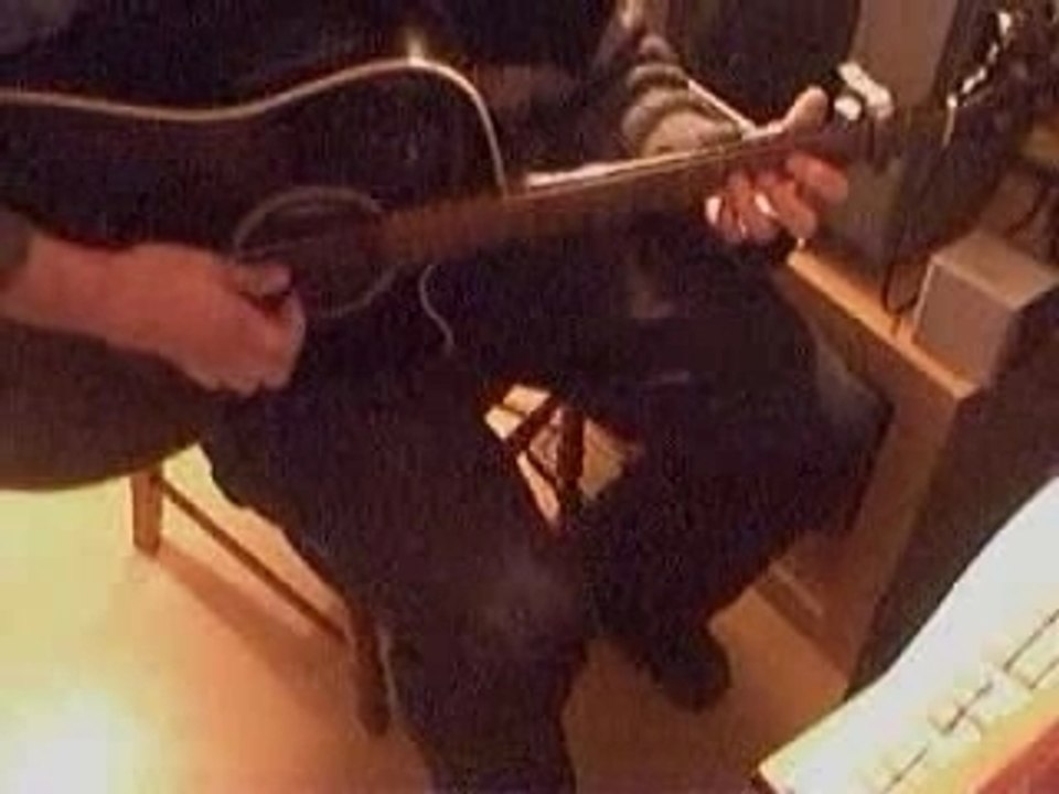 Guitare blues picking a la lulumarlu