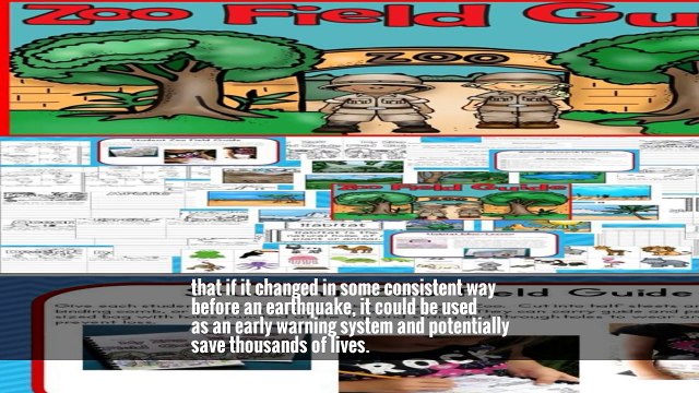 Can Animals Predict Earthquakes? Italian Farm Acts as a Lab to Find Out