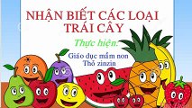 DẠY BÉ HỌC CÁC LOẠI HOA QUẢ- và các chủ đề khác