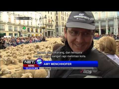 Jalanan Kota Madrid Ramai oleh Domba -NET5