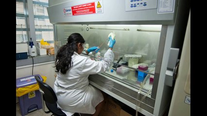 Laboratory and Bio Safety Level