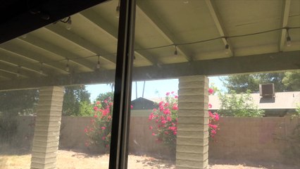 Looking For A Home On Father's Day