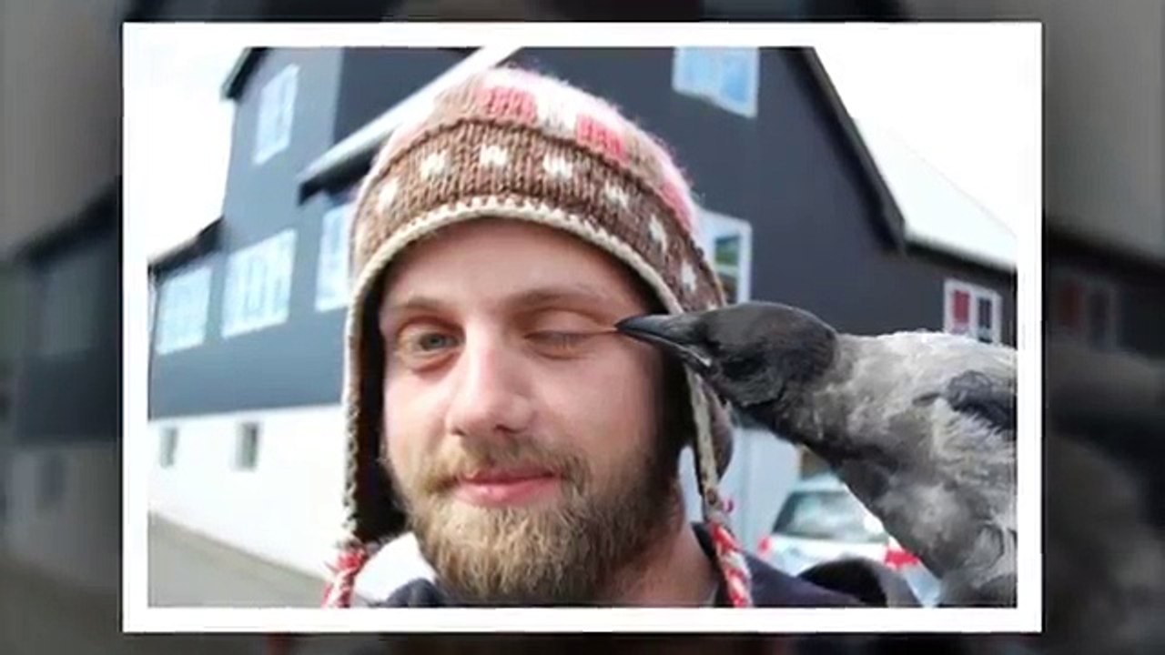 Oops Moments _ Right moment Photos _ Funny Fail Compilation 2017 - Full HD Exclusive
