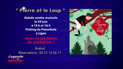 L'agenda sorties du 19 juin 2017