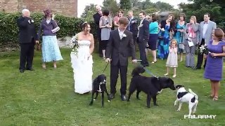 Wedding Fails Compilation 2012 __ FailArmy - Funny Wedding Fail Caught On Camera At Right Moments - Full HD Exclusive