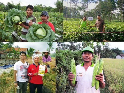 0812-2400-2400 (TSEL ),Obat Tanaman Durian