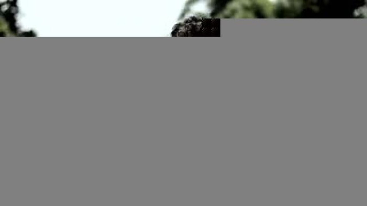 Vida Zen | ¡Bye bye, barriga!