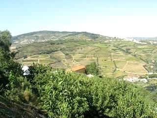 Vallée du Douro-vignobles