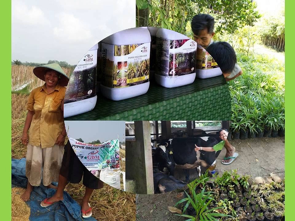 0812-2400-2400 (TSEL ),Obat untuk Menggemukan Sapi