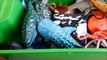 Shark Toys Kids Toy Box Sea Animals Toy Whales sea eer