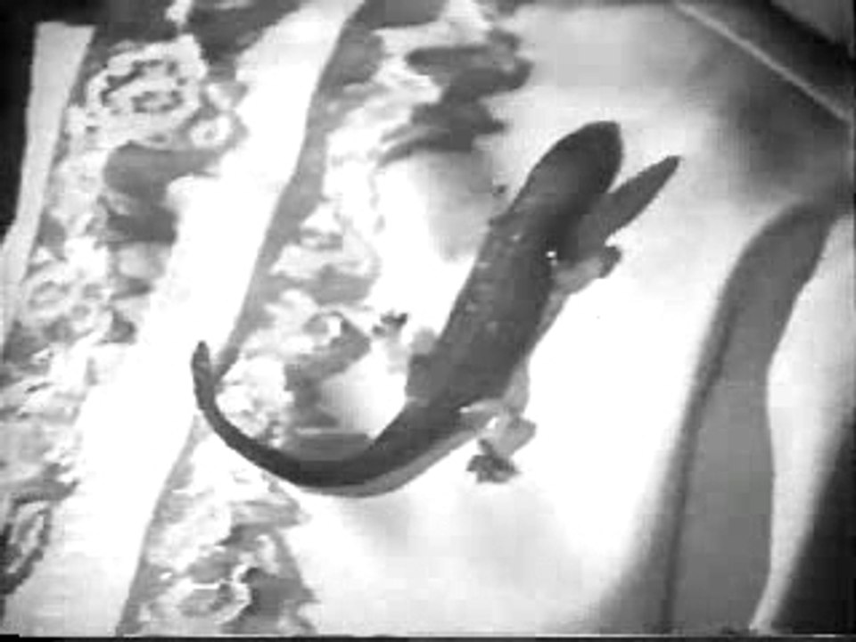 pub  - Mattel Creepy Crawlers