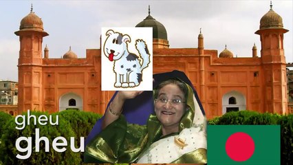 Neden herkes farklı şekilde daire çiziyor