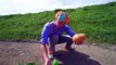 Potato lippi on the Farm _ Videos for Toddlers _ Blippi Toys