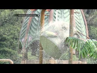 Download Video: Mas Febry berwisata main air di Kampung Gajah - IMS