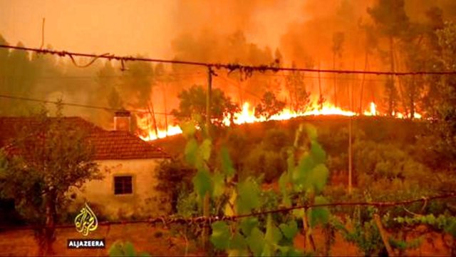 Portugal mourns after country's worst forest fires in decades