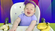 Letter B Song  'Bananas' _ Nursery rhymes for Childr