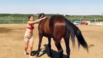 Quando um cavalo entende os problemas de uma mulher..