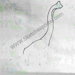 How to Draw a Brachiosaurus In 11 Steps