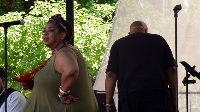 Chicago Blues Festival on 6-10-17 at 2:15 PM