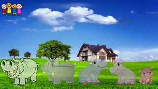 Cartoons for Kids   Cabbage Finger Family Rhymes in English   Family Finger Song