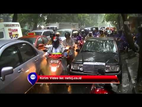 Hujan Deras dan Angin Tumbangkan Pohon di Surabaya - IMS
