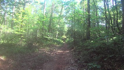 Pierwszy skok, prawie na ryj :-).