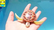 Toys review toys unboxing. Robo turtle. Turtle robot rofofish unboxing toys egg surp