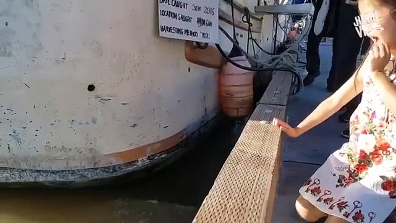 deniz ayısına asla arkanı dönme