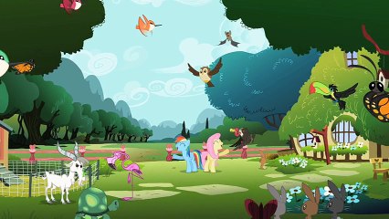 My Little Pony Friendship Is Magic S02E07 May the Best Pet Win