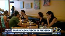 Marigold Maison in Phoenix offering great deal on Indian food