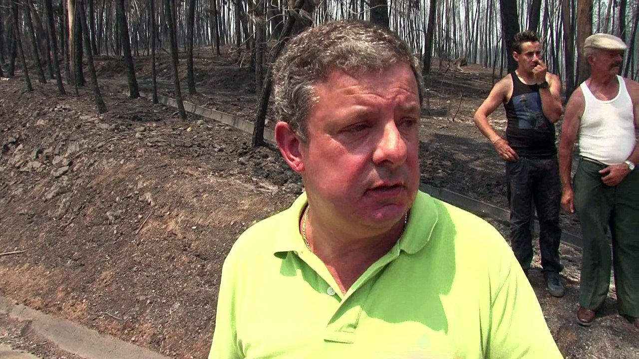 Mehr als 60 Tote bei verheerendem Waldbrand in Portugal