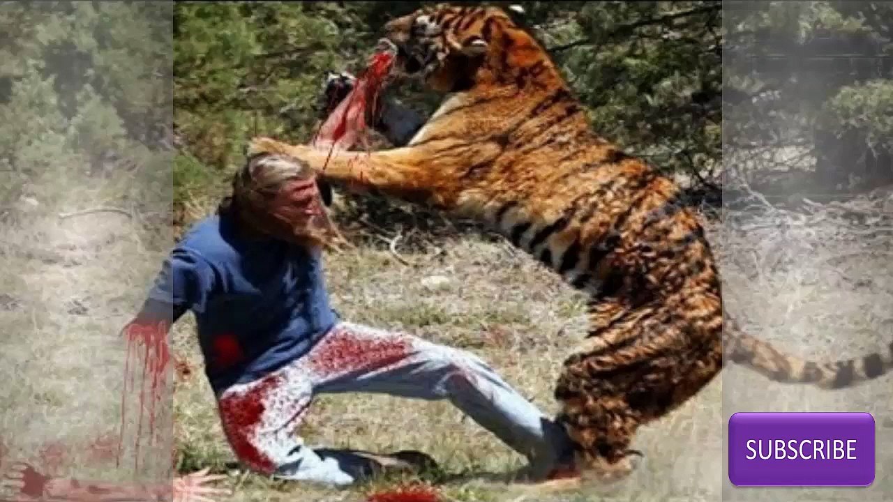 zoo Animal attack people