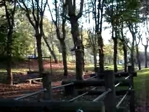 helico rc swiss lama attention aux yeux ca tourne!!!!!!