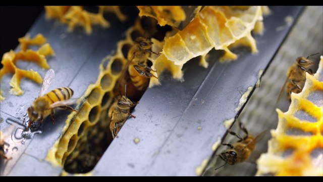 Le débrief d'Intégrale Placements: Gilles Petit et Christian Fontaine - 19/06