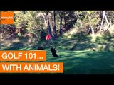 Golf 101... With Animals!