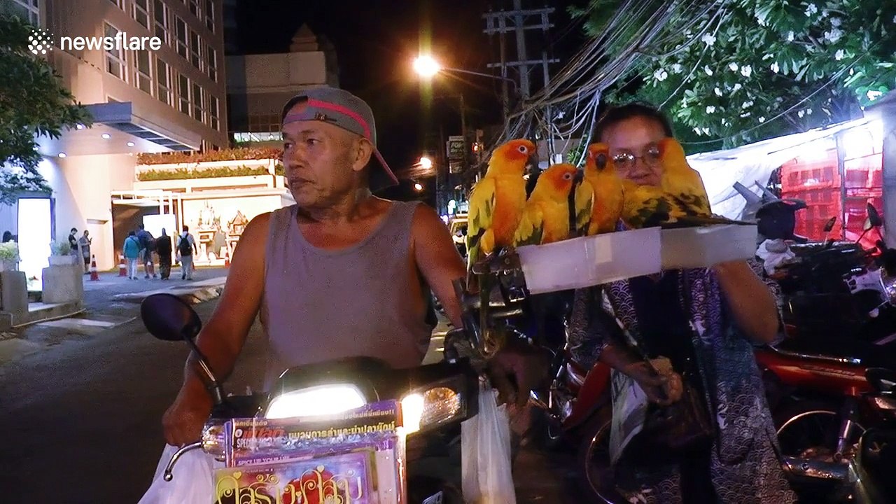 News vendor delivers newspapers using parakeets
