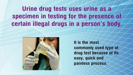 Best Facts About Urine Drug Tests