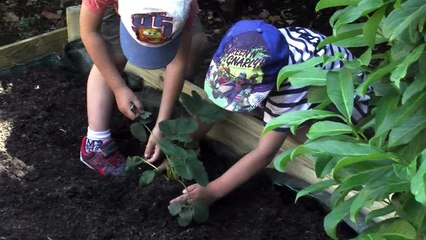 Sisteron : opération plantation à l'hôtel Ibis avec les enfants de l'école de Peipin