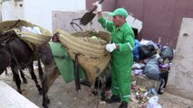 الحمار رفيق عمال النظافة في قصبة الجزائر العتيقة