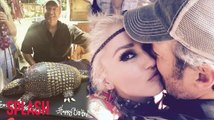 Gwen Stefani Gives Blake Shelton Birthday Kisses