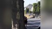 Champs-Élysées: Une vidéo montre l'assaillant extirpé de sa voiture
