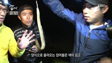 성난 물고기 - 만경- 동진강 '장어' 大탐사_#002