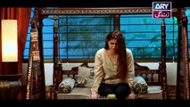 Haya Kay Rang Episode 105 - on Ary Zindagi in High Quality 19th June 2017