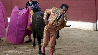 Hurry up, I'm dying Final words of award-winning matador as he was carried from the ring after being gored when he tripp