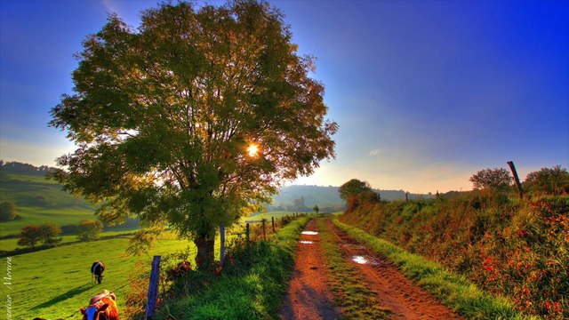 PUY DE DÔME - découvrir les volcans et paysages de l'Auvergne - FRANCE